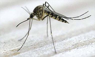 /vidasocial/investigadores-y-cientificos-crean-un-clon-del-virus-zika/31216.html