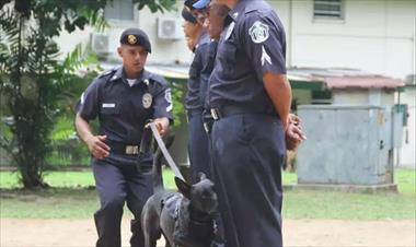 /vidasocial/agentes-de-seguridad-son-especializados-en-el-manejo-de-canes-auxiliares/66122.html