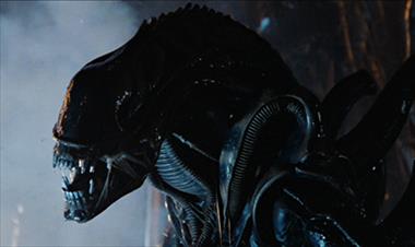 /cine/ridley-scott-responde-las-dudas-sobre-el-genero-de-los-xenomorfos/51308.html