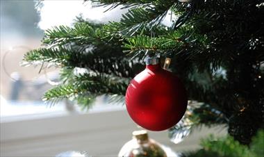 /vidasocial/consejos-para-conservar-el-arbol-de-navidad-fresco-y-con-su-agradable-aroma/71757.html