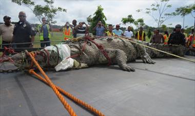 /vidasocial/hacen-recomendaciones-a-pesqueros-de-la-zona-de-colon-a-que-eviten-ser-victimas-de-ataques-de-cocodrilos/57328.html