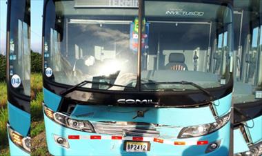 /vidasocial/dos-vacas-murieron-arrolladas-por-un-bus-en-chiriqui/70068.html