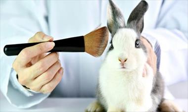 /spotfashion/california-prohibira-los-productos-de-belleza-probados-en-animales/87080.html