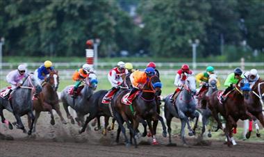 /deportes/clasico-asociacion-de-propietarios-de-pura-sangre-se-celebrara-el-20-de-agosto/60311.html