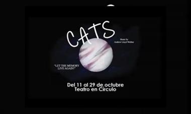 /vidasocial/-cats-el-musical-del-11-al-29-de-octubre/65934.html