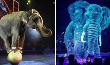 /vidasocial/circo-aleman-usa-animales-holograficos-para-combatir-la-crueldad-animal/89358.html