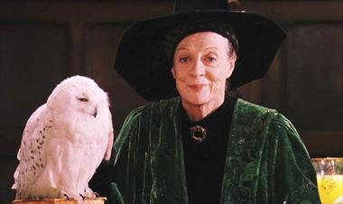 /cine/-como-veremos-a-la-joven-mcgonagall-en-animales-fantasticos-2-/83380.html