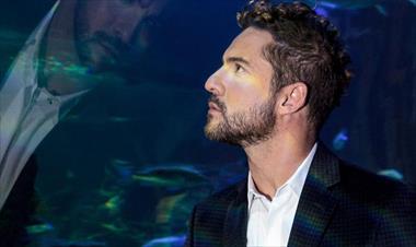 /musica/cuenta-regresiva-para-el-gran-concierto-de-david-bisbal/66216.html