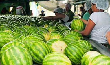 /vidasocial/las-exportaciones-agropecuarias-continuan-cayendo-en-picada/46137.html