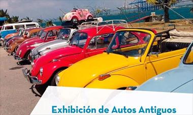 /vidasocial/manana-exposicion-de-autos-antiguos-vw-/74123.html