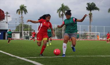 /deportes/continua-la-preparacion-de-la-pre-seleccion-femenina-sub-17/60972.html