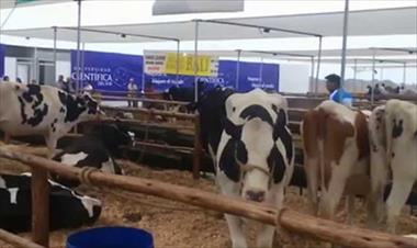 /vidasocial/-feria-nacional-de-ganado-lechero-del-13-al-16-de-julio/57044.html