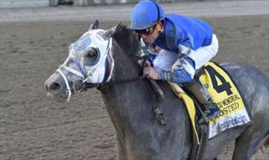 /deportes/frosted-pasara-a-la-cria/35739.html