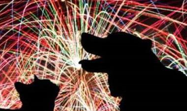 /vidasocial/confeccionan-fuegos-artificiales-sin-ruido-para-cuidar-a-los-animales/30933.html