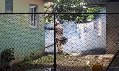 /vidasocial/aumento-de-los-casos-de-dengue-en-cocle-activa-a-las-autoridades/60234.html