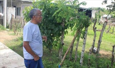 /vidasocial/confirmados-casos-de-hantavirus-en-las-tablas-los-santos/55870.html