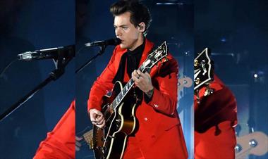 /vidasocial/fan-atrevida-le-toca-sus-partes-intimas-a-harry-styles/67640.html