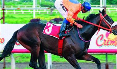 /deportes/hipodromo-presidente-remon-y-su-gran-cartel-dominical/42593.html