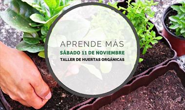 /vidasocial/aprende-todo-lo-relacionado-con-huertas-organicas/68858.html