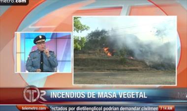 /vidasocial/2-915-incendios-de-masa-vegetal-en-lo-que-va-del-ano/30708.html