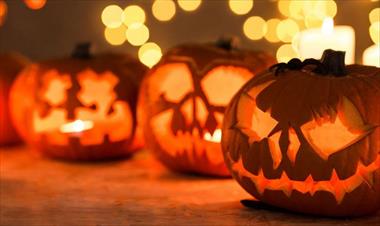 /vidasocial/la-magia-de-halloween/83242.html