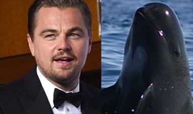 /vidasocial/leonardo-dicaprio-pide-al-presidente-de-mexico-proteger-a-la-vaquita-marina/50985.html