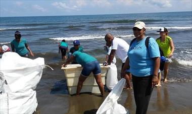 /vidasocial/en-septiembre-realizaran-gran-limpieza-de-playas-costas-y-rios-2017/60800.html