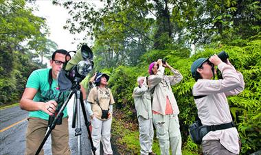 /vidasocial/gran-dia-mundial-de-observacion-de-aves/76773.html