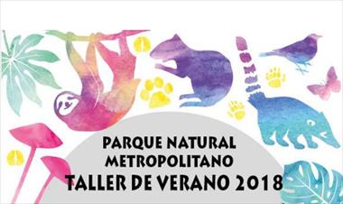 /vidasocial/-taller-de-verano-en-el-parque-natural-metropolitano/72793.html