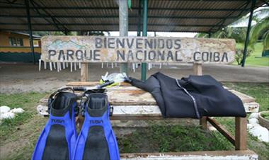 /vidasocial/desaparecen-reses-caballos-y-bufalos-del-parque-nacional-coiba/73890.html