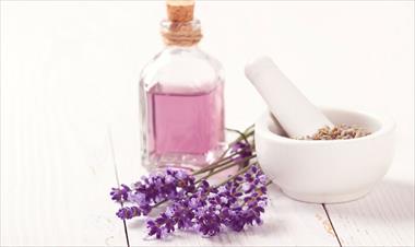 /spotfashion/perfumes-factory-ofrece-productos-ideales-para-la-temporada-lluviosa/83775.html