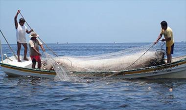 /vidasocial/fao-estara-en-panama-analizando-la-situacion-de-la-pesca-y-la-acuicultura-en-america-latina/72727.html