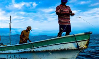 /vidasocial/plan-de-accion-por-la-sostenibilidad-de-la-pesca/32845.html