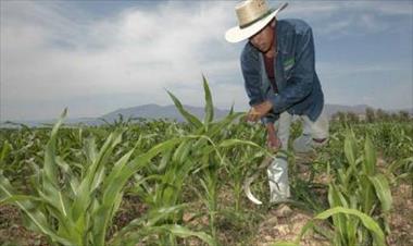 /vidasocial/estan-analizando-tomar-medidas-de-protestas-los-productores-de-chiriqui/53772.html