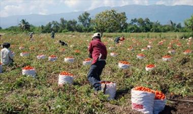 /vidasocial/productores-no-sienten-el-apoyo-necesario-por-parte-del-gobierno-nacional/55078.html