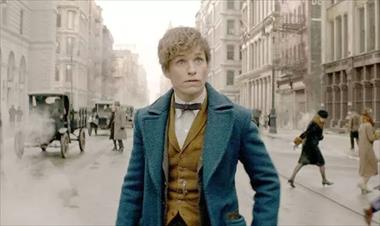 /cine/redmayne-lo-que-me-encanta-de-newt-es-que-siempre-ha-sido-un-marginado-/83743.html