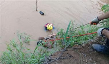 /vidasocial/rescatan-con-exito-a-ternero-en-el-rio-la-villa/54641.html