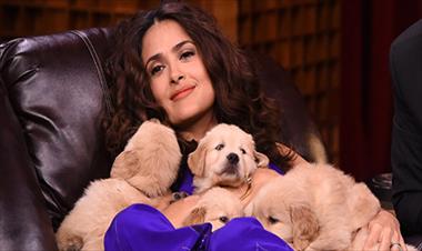 /vidasocial/salma-hayek-promueve-la-adopcion-de-animales/35999.html