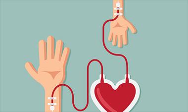 /vidasocial/-sabes-la-importancia-de-donar-sangre-/84564.html