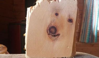 /vidasocial/trozo-de-tabla-de-madera-hace-una-ilusion-optica/58169.html