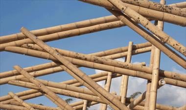 /vidasocial/4to-taller-de-construccion-de-bambu/72192.html