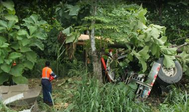 /vidasocial/conducto-de-articulado-resulto-herido-al-volcar-camion-en-pese/64935.html