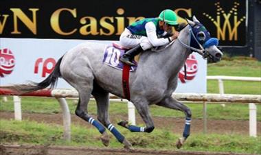 /deportes/xylia-encaminada-a-completar-sus-especiales-en-la-jornada-hipica/36122.html