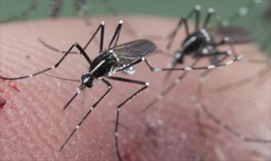 /vidasocial/minsa-confirman-ya-50-casos-de-virus-zika-en-guna-yala/30582.html