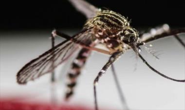 /vidasocial/casos-de-zika-en-panama-ascienden-a-65-uno-reside-en-tocumen/30635.html