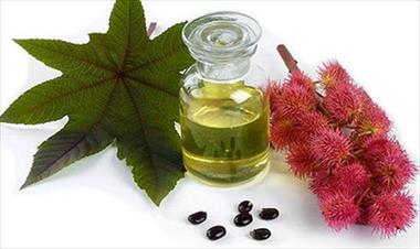 /vidasocial/usos-del-aceite-de-ricino-que-te-gustaria-conocer/45853.html