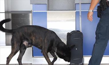 /vidasocial/aeropuesto-de-tocumen-realizo-simulacro-para-la-seguridad/82276.html