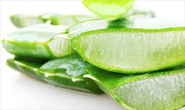 /vidasocial/aloe-vera-propiedades-milagrosas-de-salud-y-belleza/53403.html