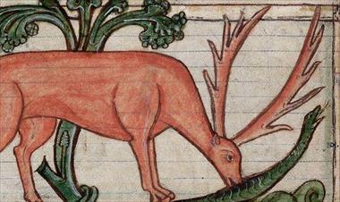 /vidasocial/conoce-lo-que-pensaban-de-estos-animales-en-la-edad-media/62125.html
