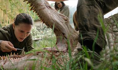 /cine/natalie-portman-protagoniza-el-trailer-de-annihilation-nueva-pelicula-de-ciencia-ficcion/65077.html